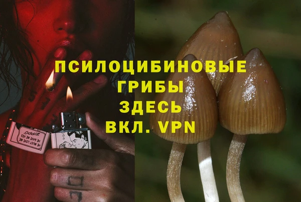 амф Баксан