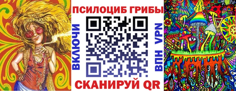 Псилоцибиновые грибы MAGIC MUSHROOMS  Купить закладки  Гвардейск 